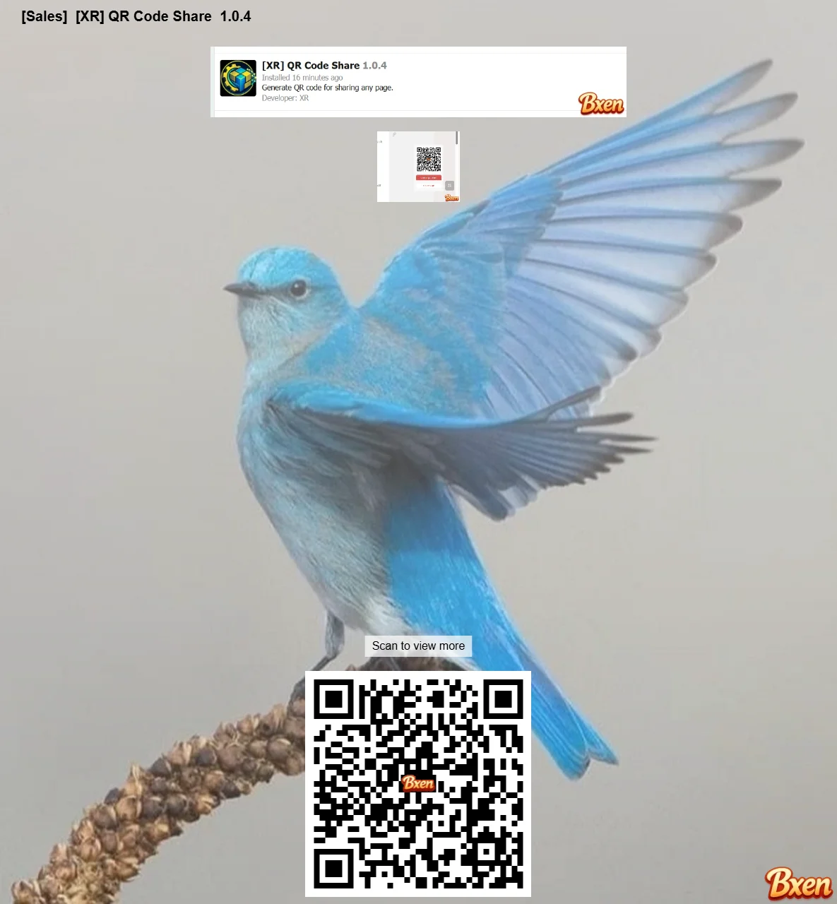 [Bxen.net] [XR] QR Code Share 4622