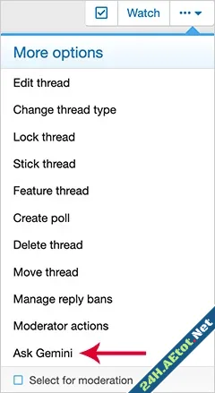 andy Ask Gemini-1.webp