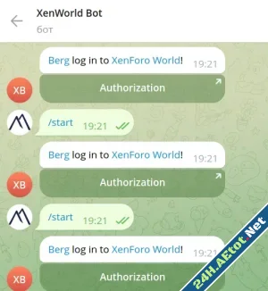 Berg Telegram Auth-3.webp