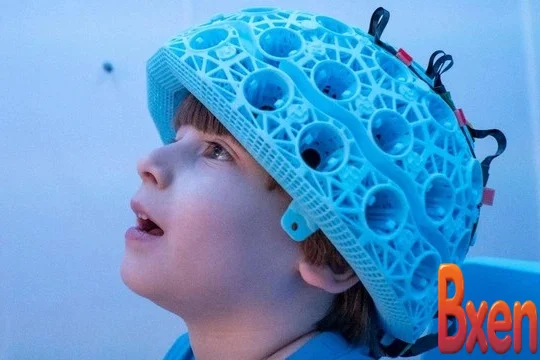 Các nhà khoa học đưa ra cảnh báo sau khi giải mã 250000 bộ não-1.webp