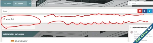 Remove the "Forum list" and "New posts" "Post thread…"