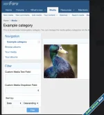 vBresults - Filter Media Fields