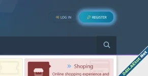 Flashing Light Effect on Register Button