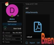 Simple & Animated Christmas Avatar Decoration (Santa Hat + Snow)