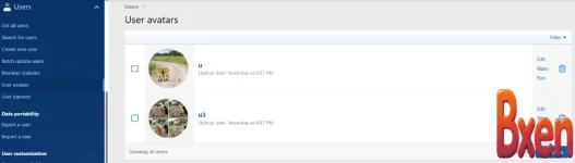 XFCoder User Avatar and Banner Lists-1.webp XFCoder User Avatar and Banner Lists-1.webp