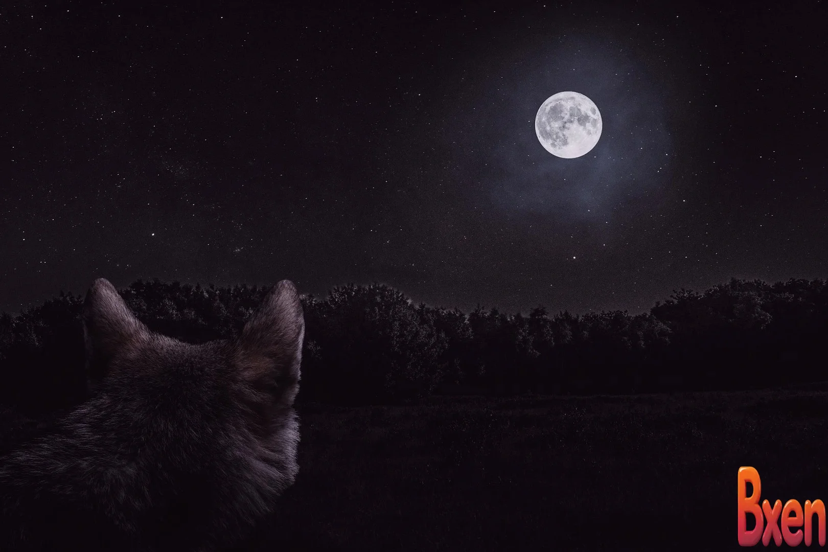 Hôm nay người dân Việt Nam có thể ngắm siêu trăng sói cực hiếm-1.webp