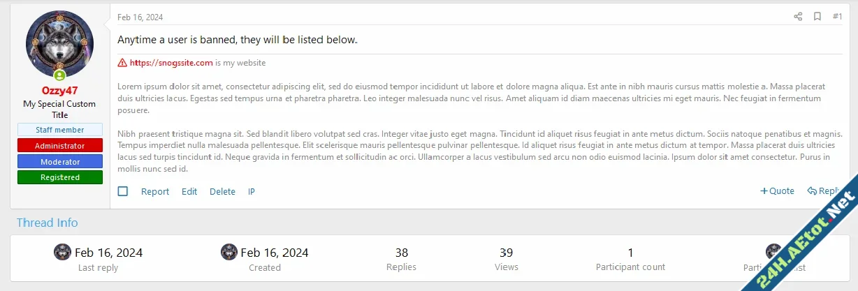 OzzModz Widget Position Below First Post-1.webp