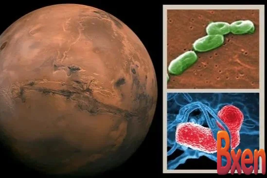 Vi khuẩn là chìa khóa giúp xây dựng căn cứ địa đầu tiên trên Sao Hỏa-1.webp
