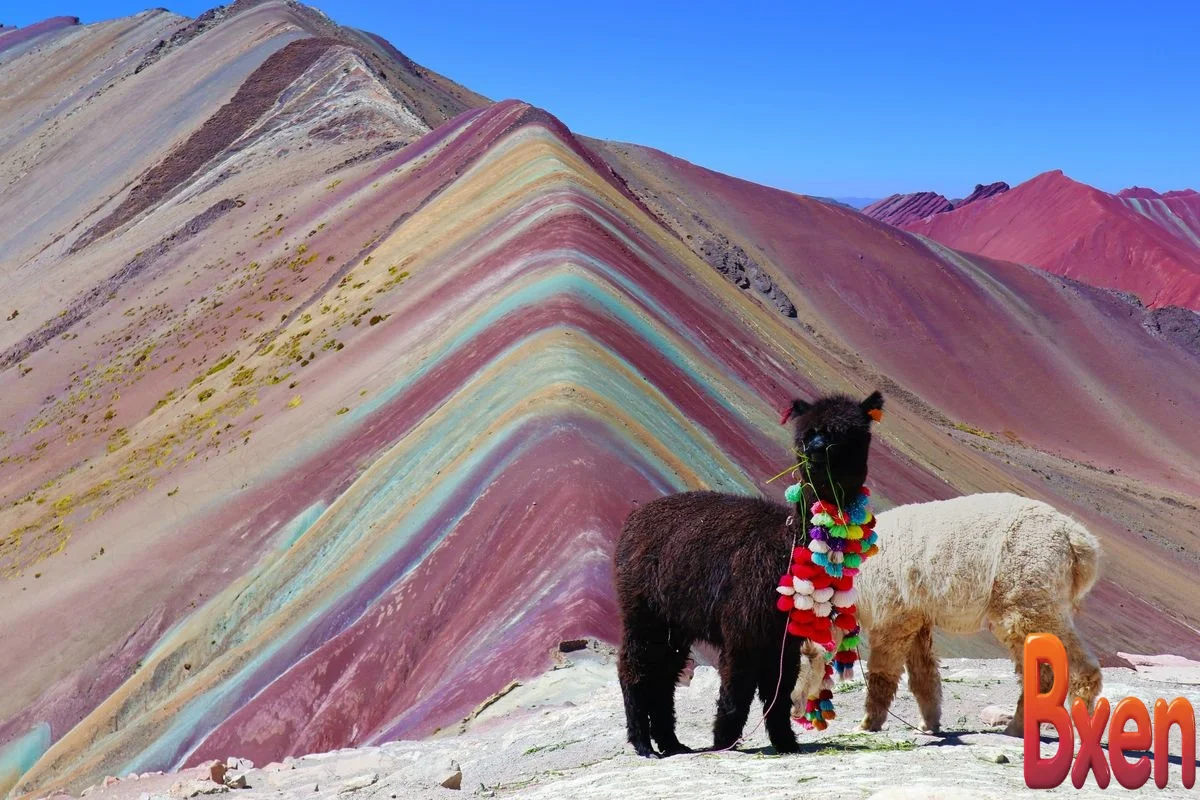 Vì sao Núi Cầu Vồng có màu sặc sỡ-1.webp