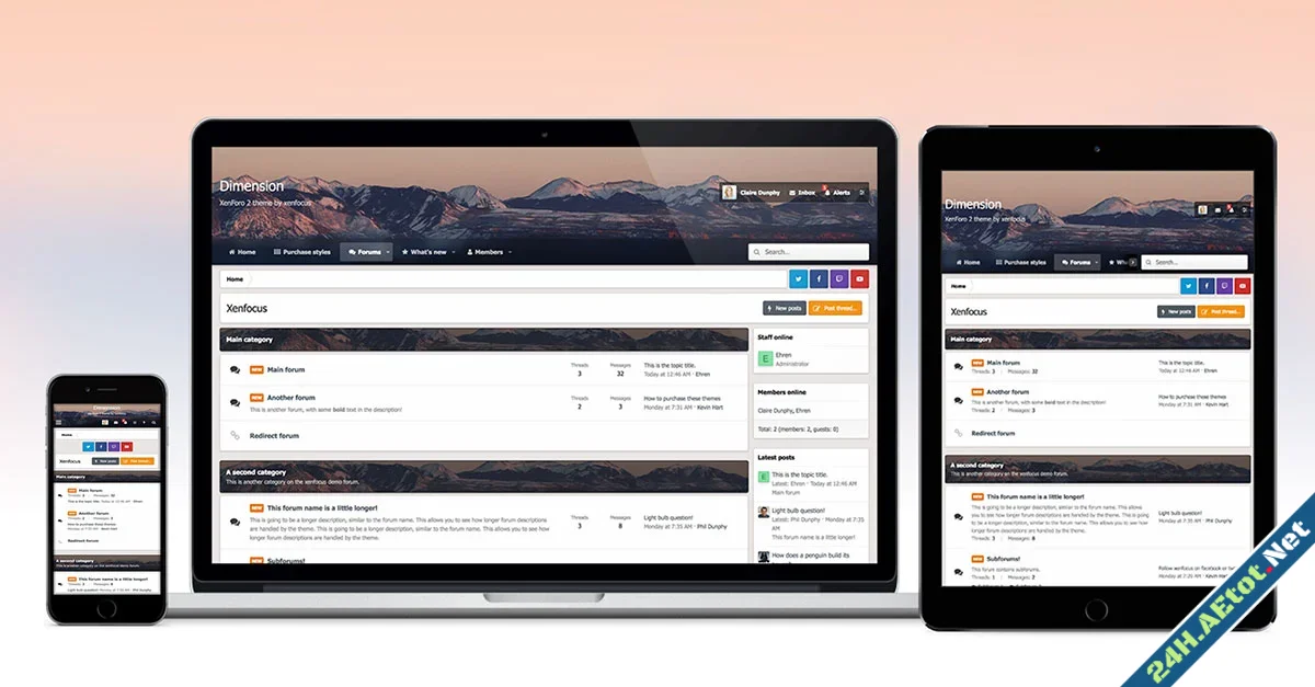 XenFocus Dimension-1.webp